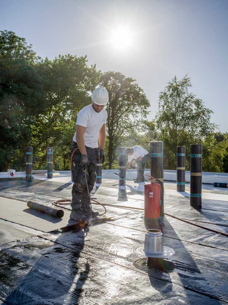 Vijverweg-Zomer-2018-BouwBos_180711_0530